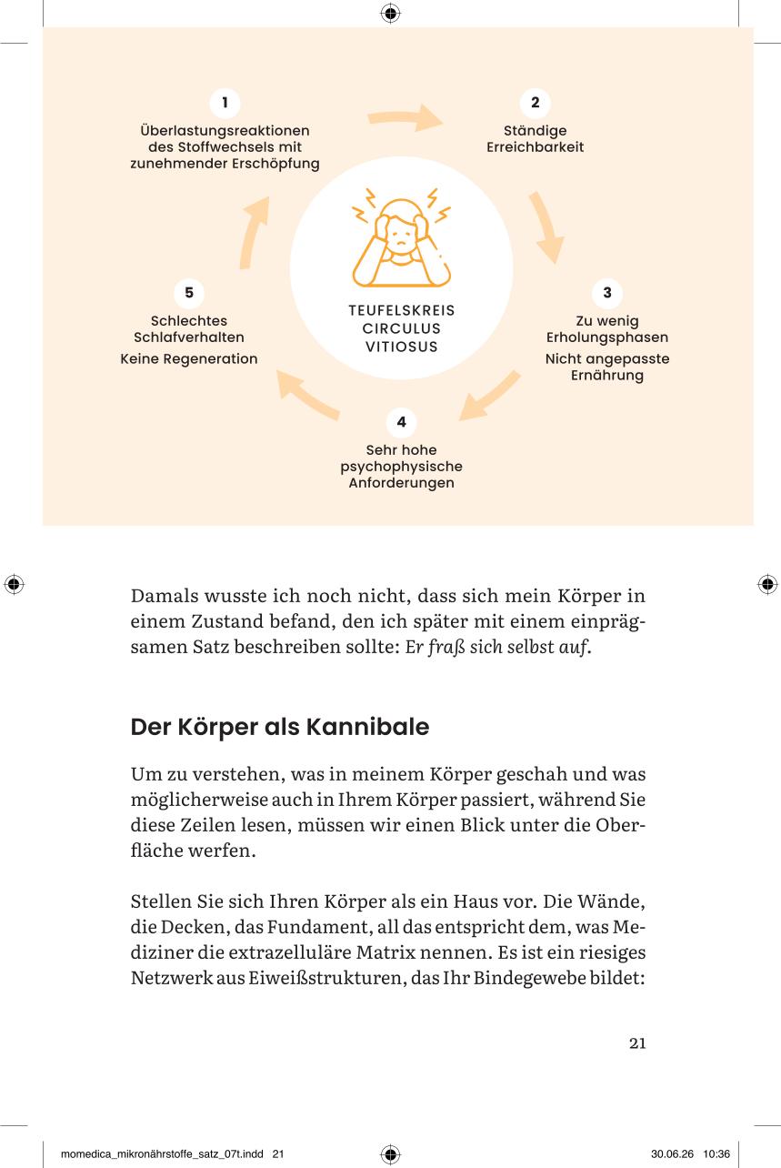 Die Mikronährstoffrevolution – Blutwerte richtig interpretieren & Mikronährstoffe verstehen – Bild 7