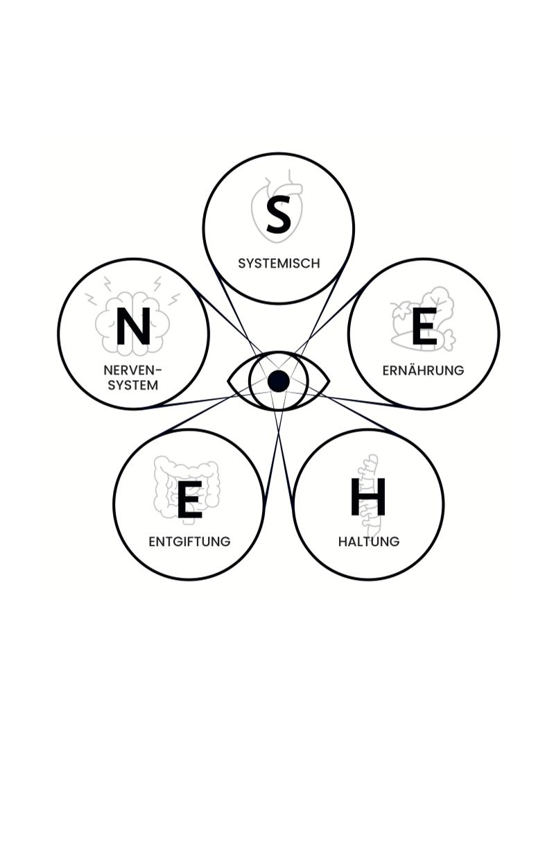 Augengesundheit – Das S.E.H.E.N.-Prinzip | Augen natürlich stärken – Bild 4